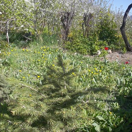 Issyk-Kul - Camping Grigoryevka Hotel Grigor'yevka ภายนอก รูปภาพ
