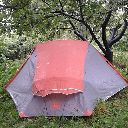 Issyk-Kul - Camping Grigoryevka Hotel Grigor'yevka ภายนอก รูปภาพ
