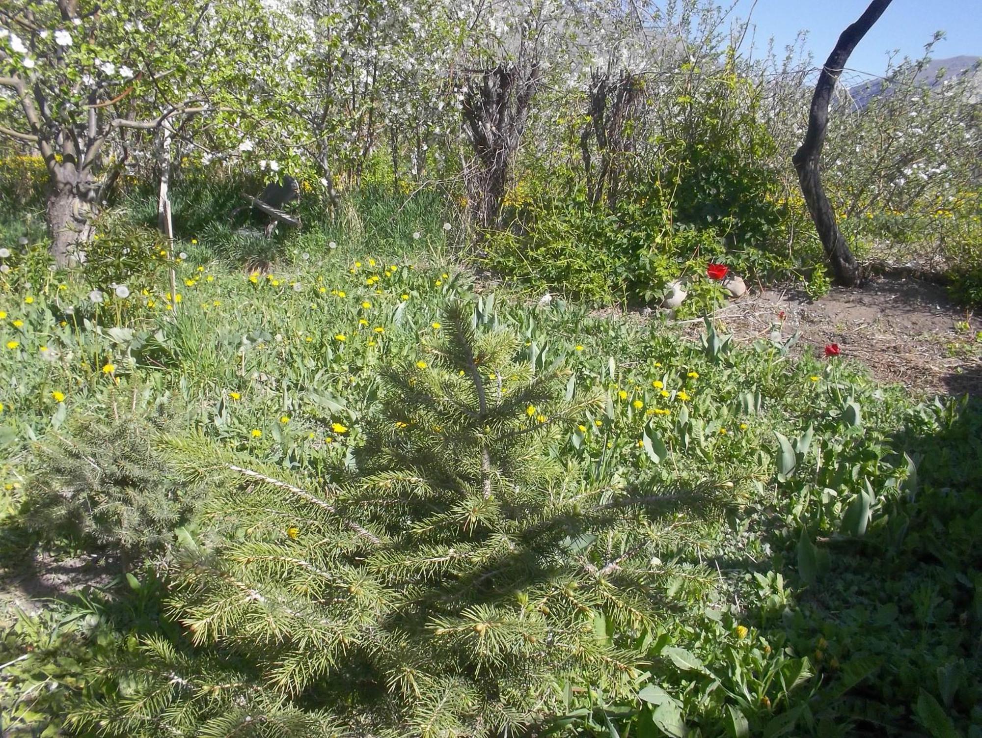 Issyk-Kul - Camping Grigoryevka Hotel Grigor'yevka ภายนอก รูปภาพ