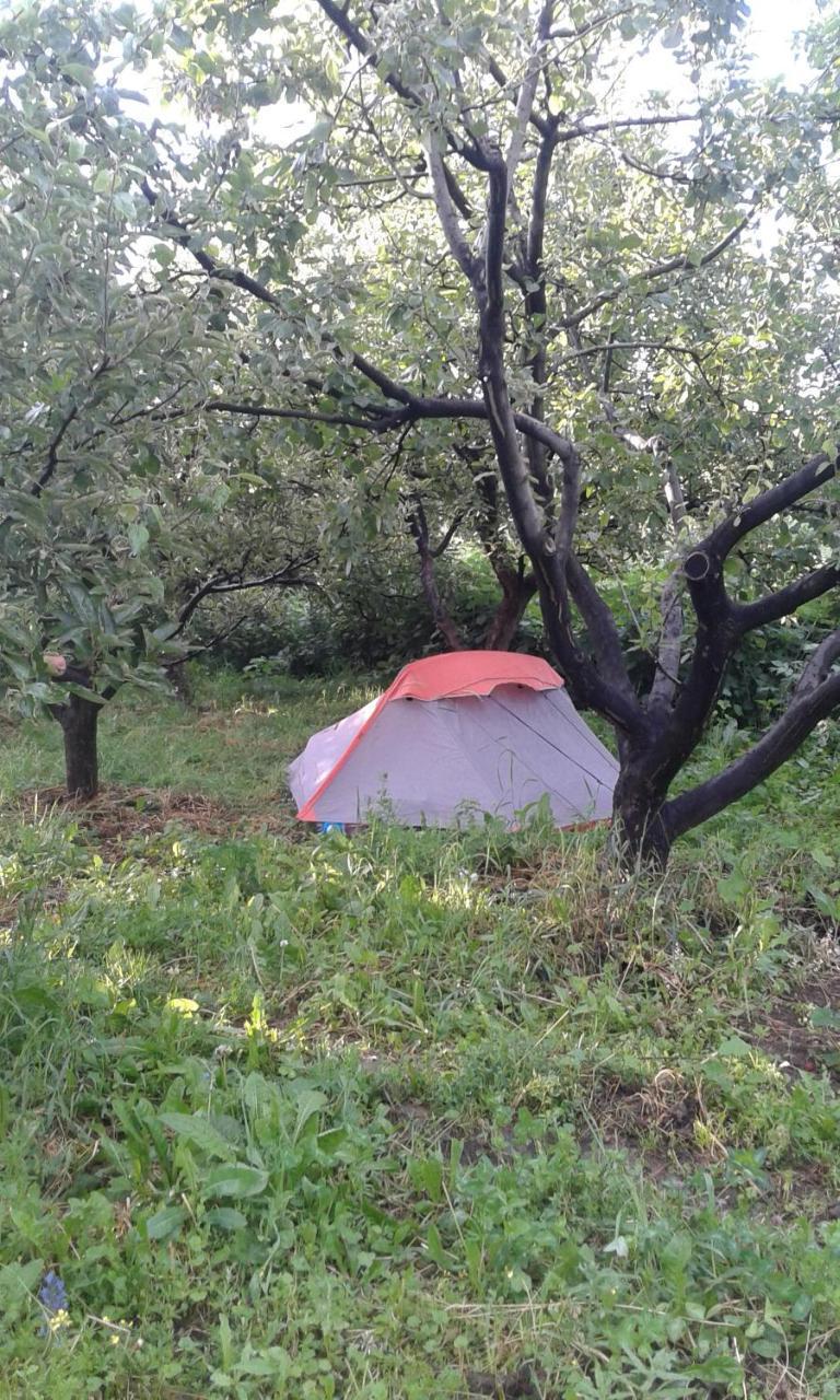 Issyk-Kul - Camping Grigoryevka Hotel Grigor'yevka ภายนอก รูปภาพ